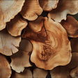 Cedarwood