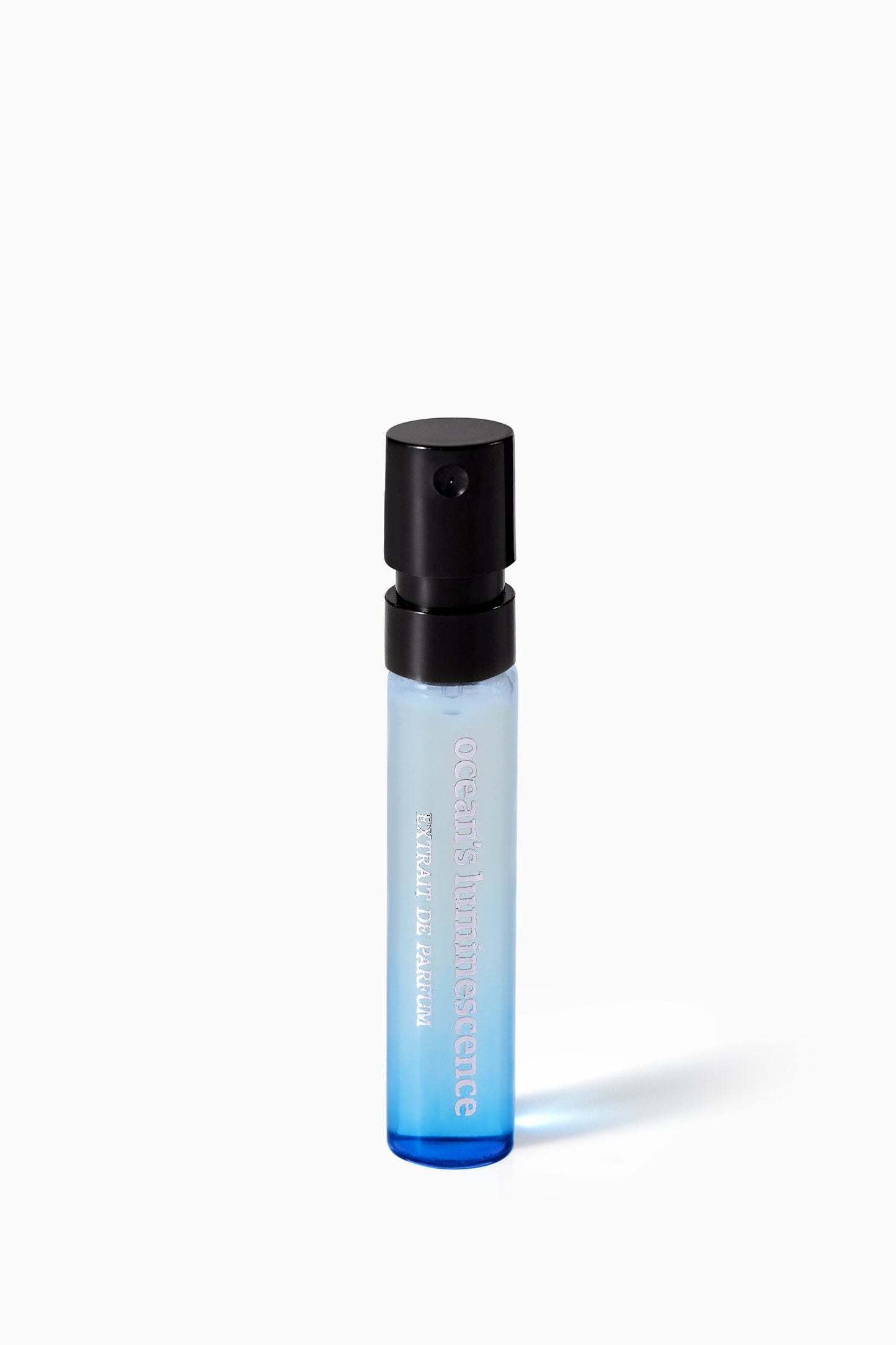 Ocean's Luminescence | complimentary