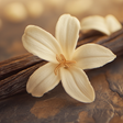 Vanilla, Caramel